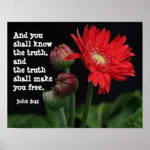 Gerbera Daisy w/ Scripture Verse (john 8:32) Poster