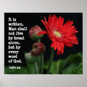Gerbera Daisy w/ Scripture Verse (Luke 4:4) Poster (Voorkant)
