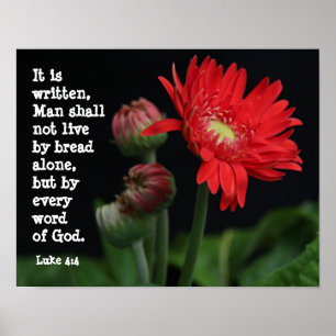 Gerbera Daisy w/ Scripture Verse (Luke 4:4) Poster