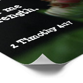 Gerbera Daisy w/ Scripture Verse (Timothy 4:17) Poster (Hoek)