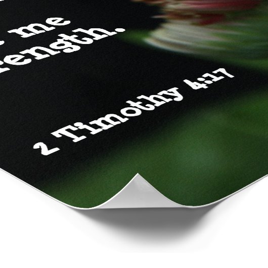 Gerbera Daisy w/ Scripture Verse (Timothy 4:17) Poster (Hoek)