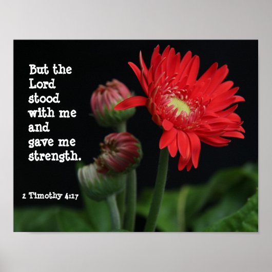 Gerbera Daisy w/ Scripture Verse (Timothy 4:17) Poster (Voorkant)