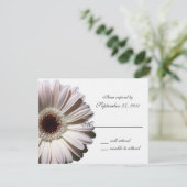Gerbera Daisy Wedding / Reactie RSVP Kaartje (Staand voorkant)