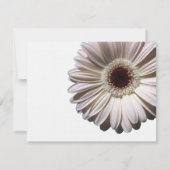 Gerbera Daisy Wedding / Reactie RSVP Kaartje (Achterkant)
