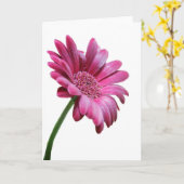 Gerbera Daisy Wenskaart Kaart (Gele Bloem)