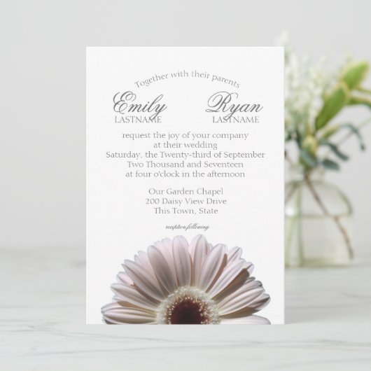 Gerbera Daisy White Blush Kaart (Staand voorkant)