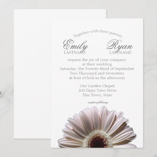 Gerbera Daisy White Blush Kaart (Voorkant / Achterkant)