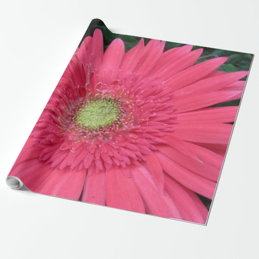 Gerbera Daisy Wrapping Paper Cadeaupapier (Uitgerold)