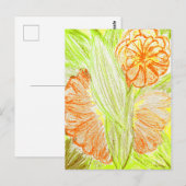 Gerbera en Aspidistra elatior, Briefkaart (Voorkant / Achterkant)