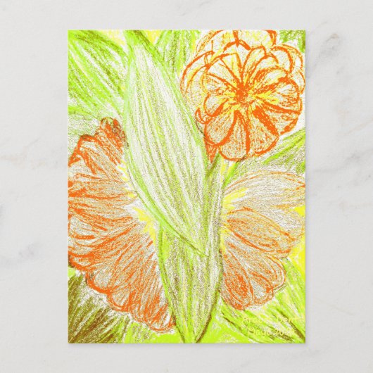 Gerbera en Aspidistra elatior, Briefkaart (Voorkant)