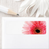 Gerbera Etiket (Insitu)