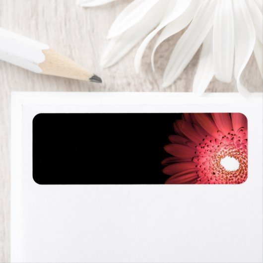 Gerbera Etiket (Insitu)