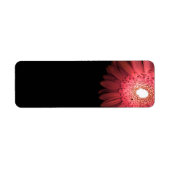 Gerbera Etiket (Voorkant)