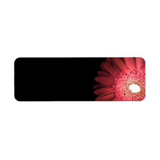 Gerbera Etiket (Voorkant)