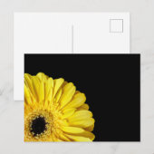 Gerbera Flower Briefkaart (Voorkant / Achterkant)