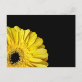 Gerbera Flower Briefkaart (Voorkant)