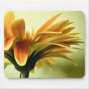 Gerbera Flower Mousepad Muismat