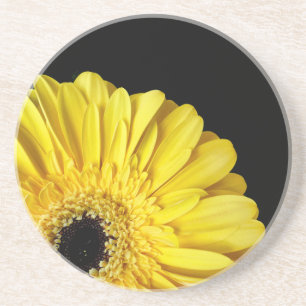 Gerbera Flower Zandsteen Onderzetter