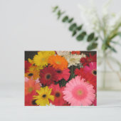 Gerbera Flowers briefkaart (Staand voorkant)