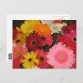 Gerbera Flowers briefkaart (Voorkant / Achterkant)