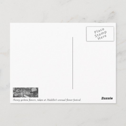 Gerbera Flowers briefkaart (Achterkant)
