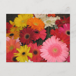 Gerbera Flowers briefkaart