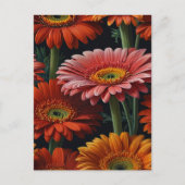 Gerbera Flowers Briefkaart (Voorkant)