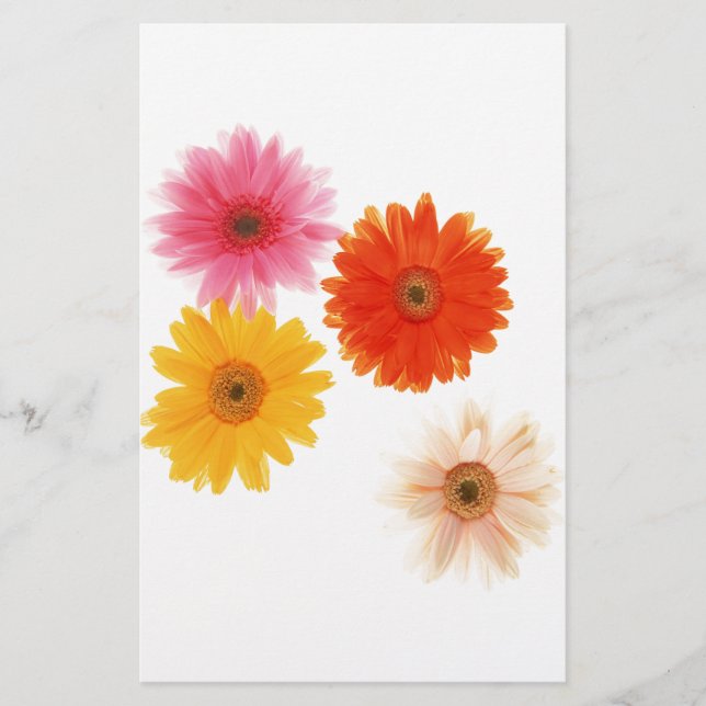 Gerbera Flowers print Flowers Floating Flower Dais (Voorkant)