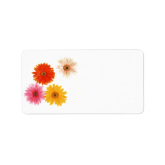 Gerbera Flowers print Flowers Floating Flower Dais Etiket