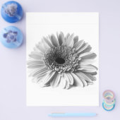 Gerbera Flyer (Enkel)