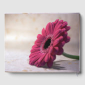 Gerbera Funeral Memorial Remembrance Guest book Gastenboek (Achterkant)