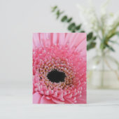 Gerbera-gerbera Briefkaart (Staand voorkant)