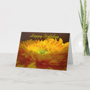 Gerbera Happy Birthday Kaart