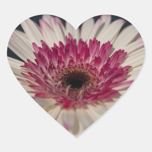 Gerbera Heart:) Hart Sticker (Voorkant)