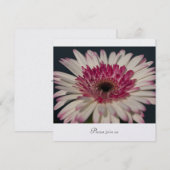 Gerbera Kaart (Voorkant / Achterkant)