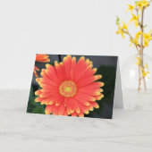 Gerbera Kaart (Gele Bloem)