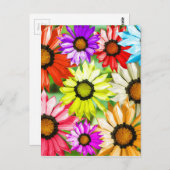 Gerbera kleurige bloemen briefkaart (Voorkant / Achterkant)