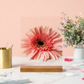 Gerbera Madelief Acryl Bord (Huwelijk)