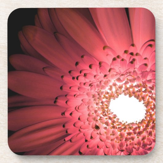 Gerbera Madelief Bier Onderzetter (Voorkant)