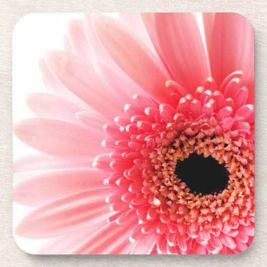 Gerbera Madelief Bier Onderzetter (Voorkant)