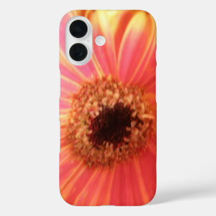 Gerbera Madelief Bloem iPhone 16 Hoesje