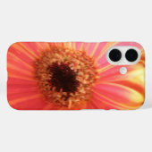 Gerbera Madelief Bloem Case-Mate iPhone Case (Achterkant (horizontaal))