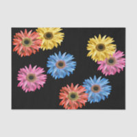 Gerbera Madelief Kleurrijk Eenvoudig Mooie Gerber