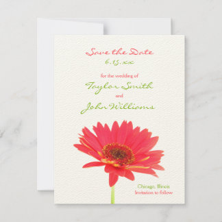 Gerbera Madelief Save the Date Aankondigingen