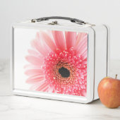 Gerbera Madeliefje (In situ)