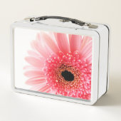 Gerbera Madeliefje (Achterkant)