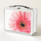 Gerbera Madeliefje (Voorkant)