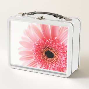 Gerbera Madeliefje