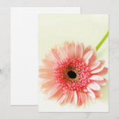 Gerbera Madeliefje Bedankkaart (Voorkant / Achterkant)