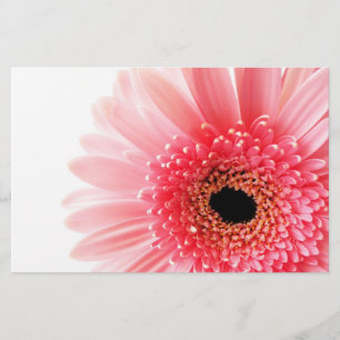 Gerbera Madeliefje Briefpapier